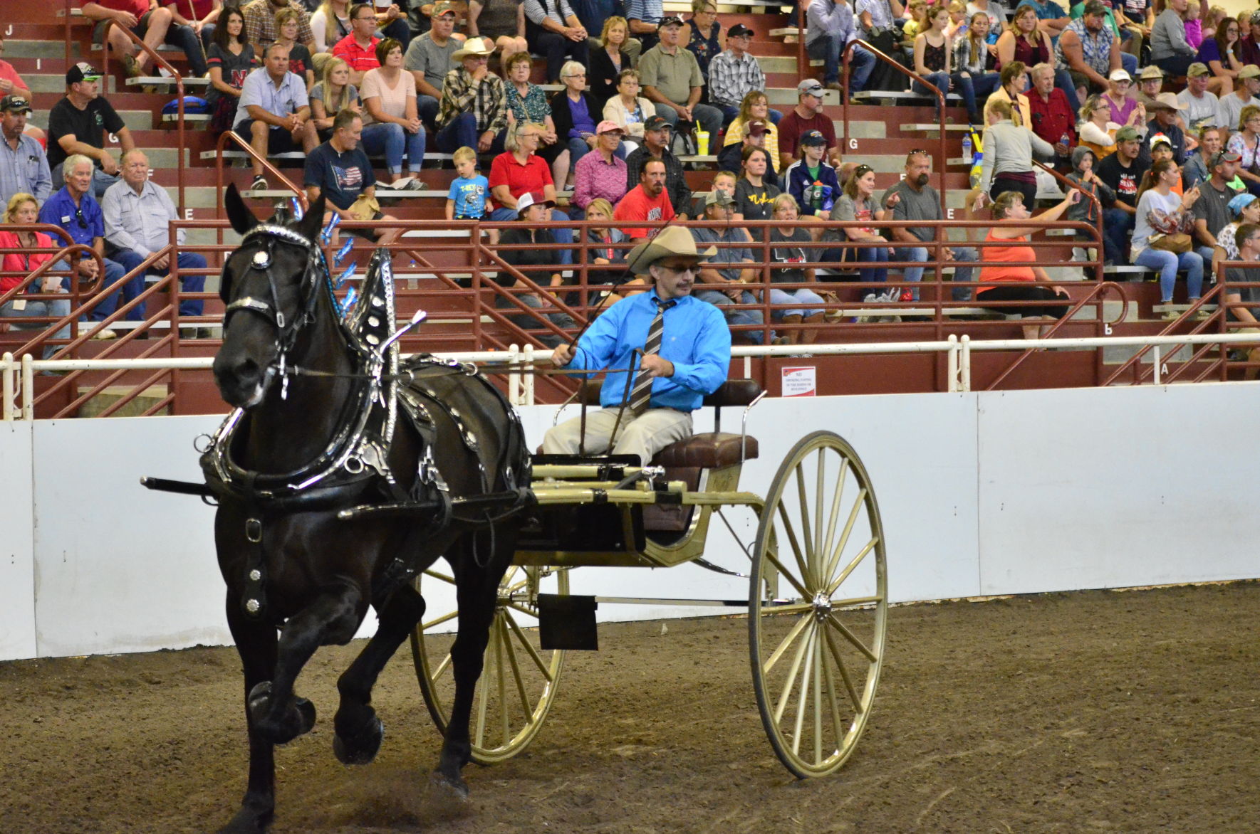 8-25-19 Draft Horse Hitch Final (32).JPG